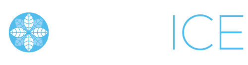 DRY ICE Logo